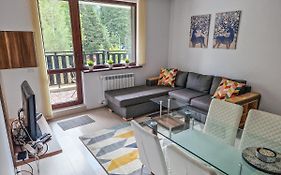 Sunny Apartment C25